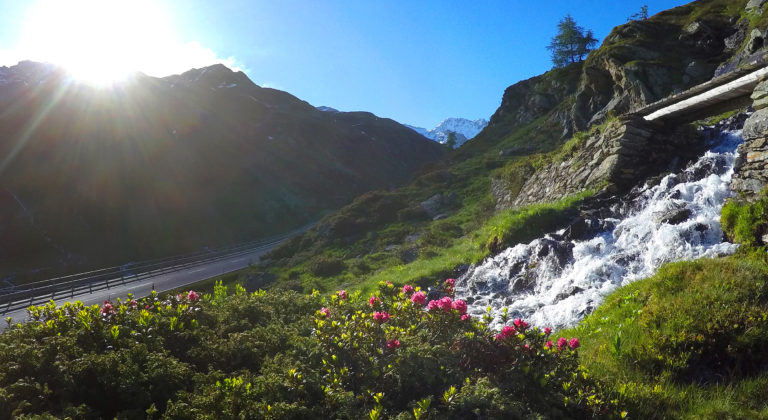 The Davos Rides powered by Bianchi