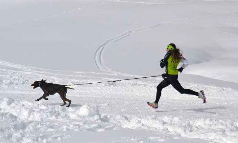 Dolomiti Winter Fest