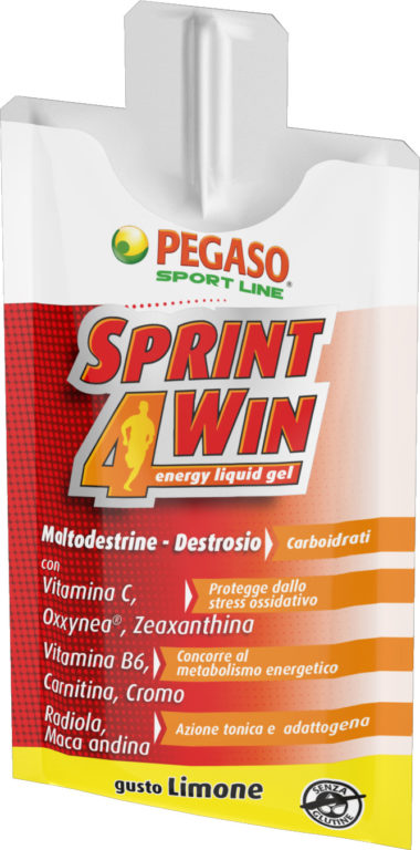Pegaso Sprint4Win