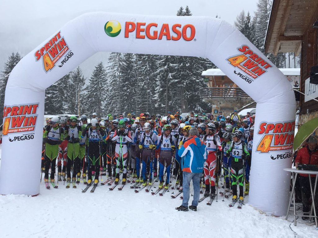 Pegaso Sprint4Win