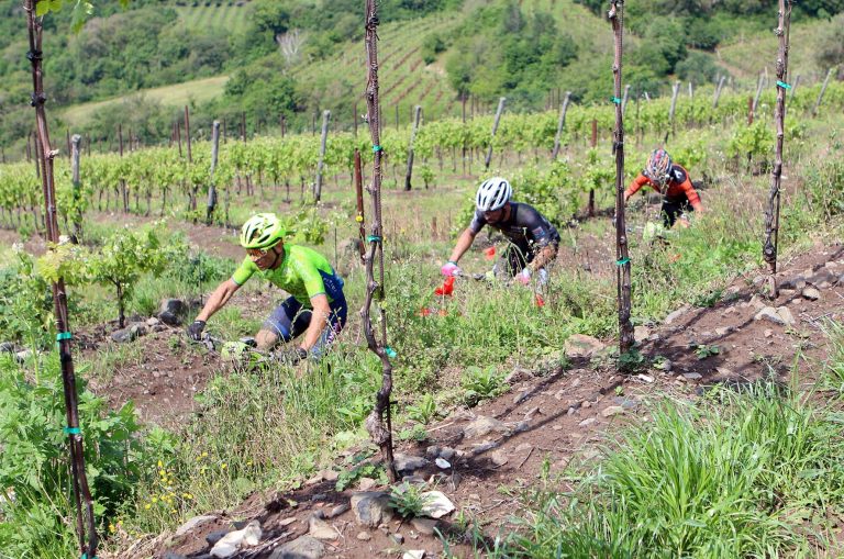 Granfondo KASK Soave MTB
